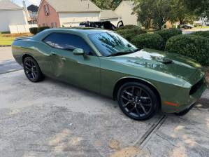 Paint Protection Film Installation Tampa Fl