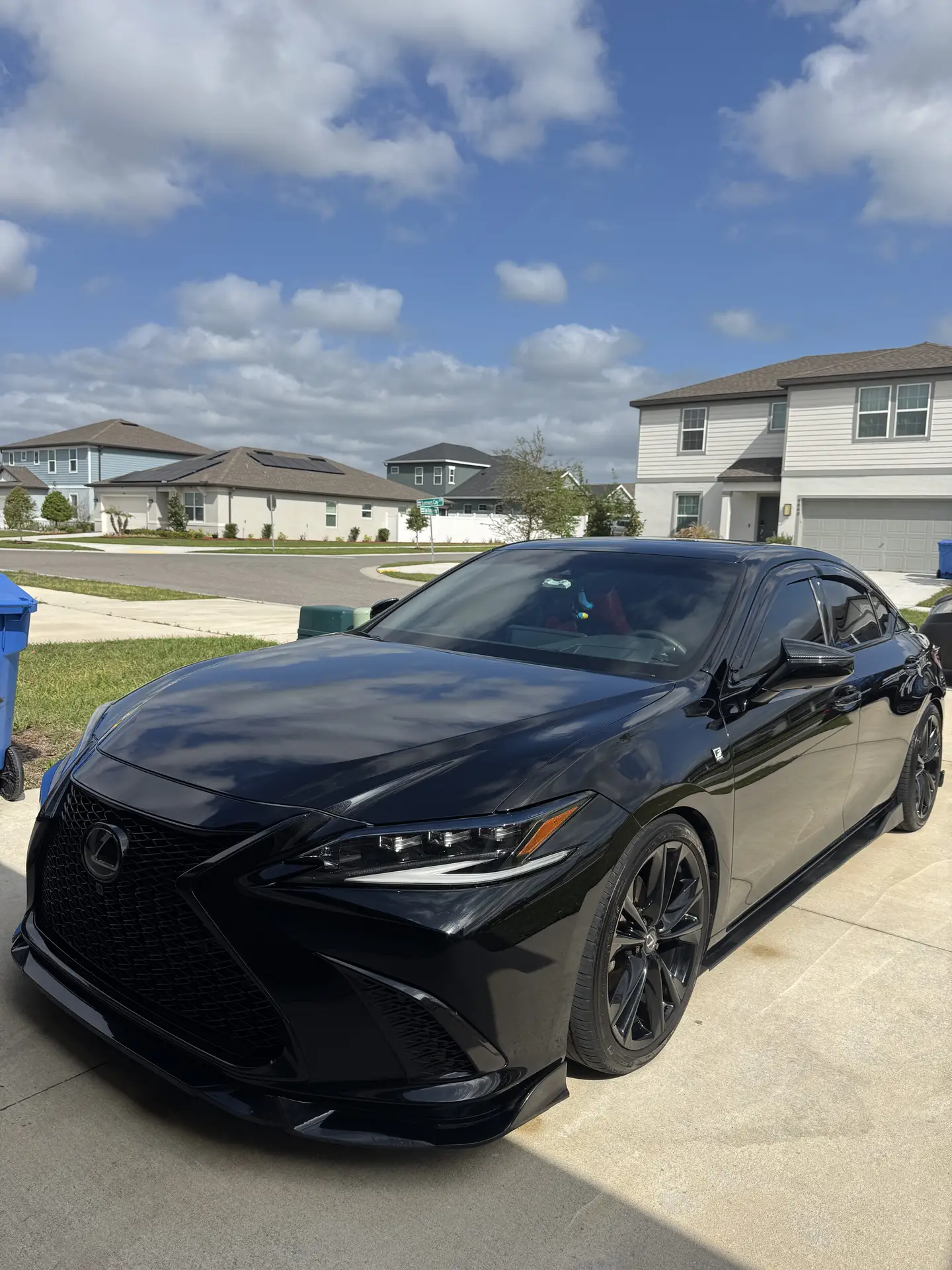 Paint Protection on black car in Tampa FL